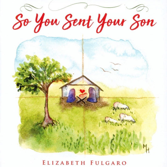 So You Sent Your Son